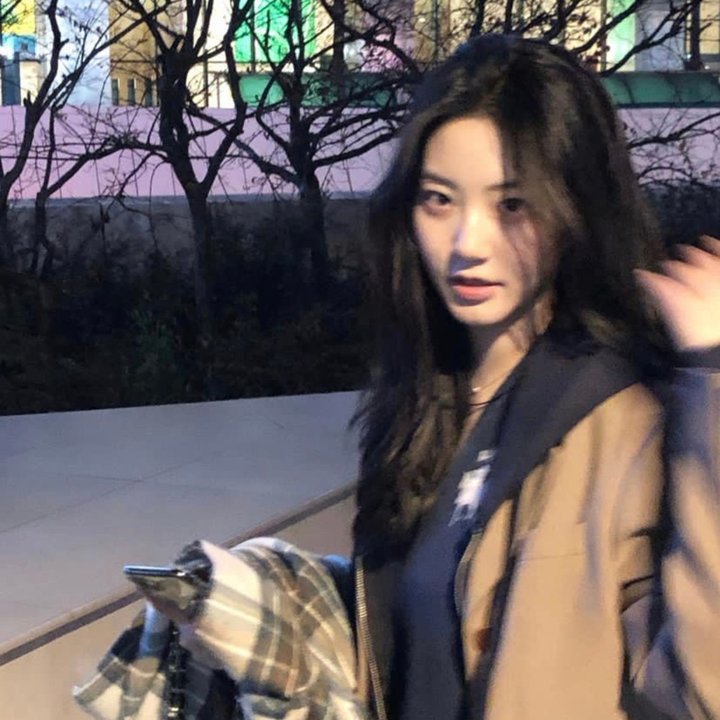 我亲爱的朋友们
